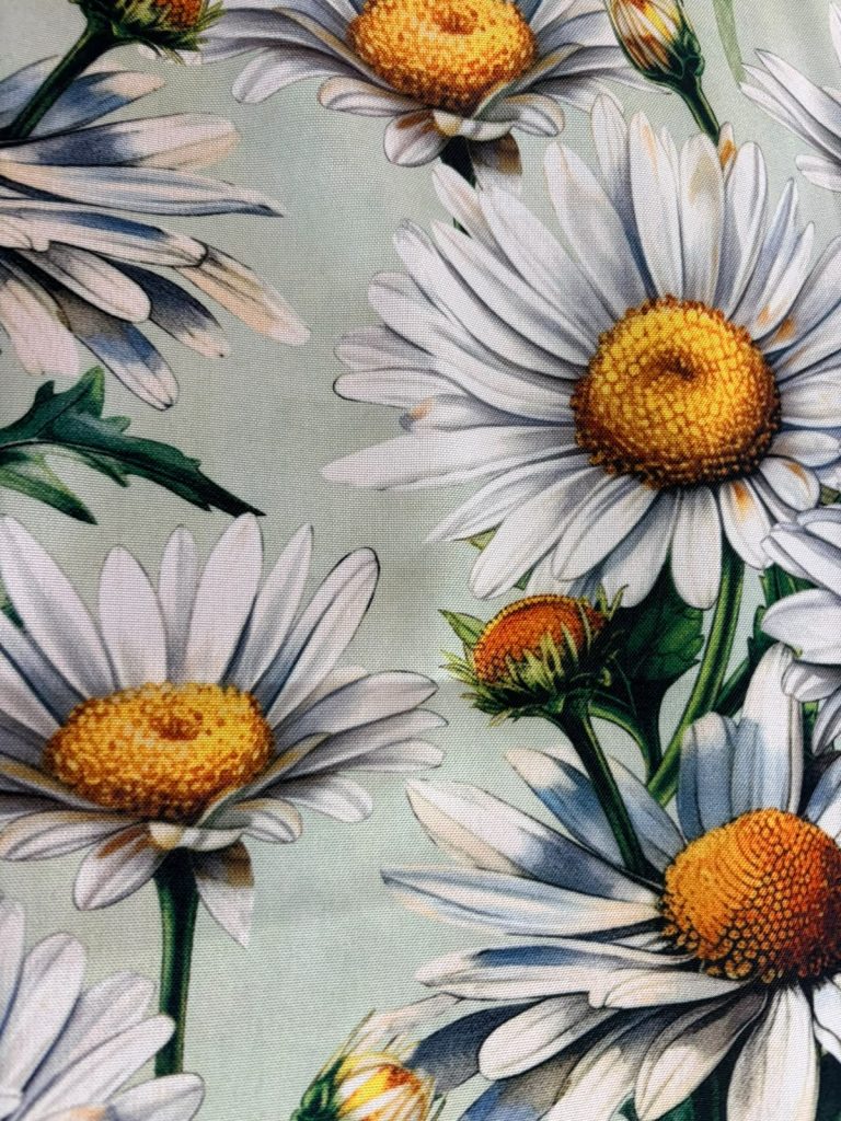 Daisy