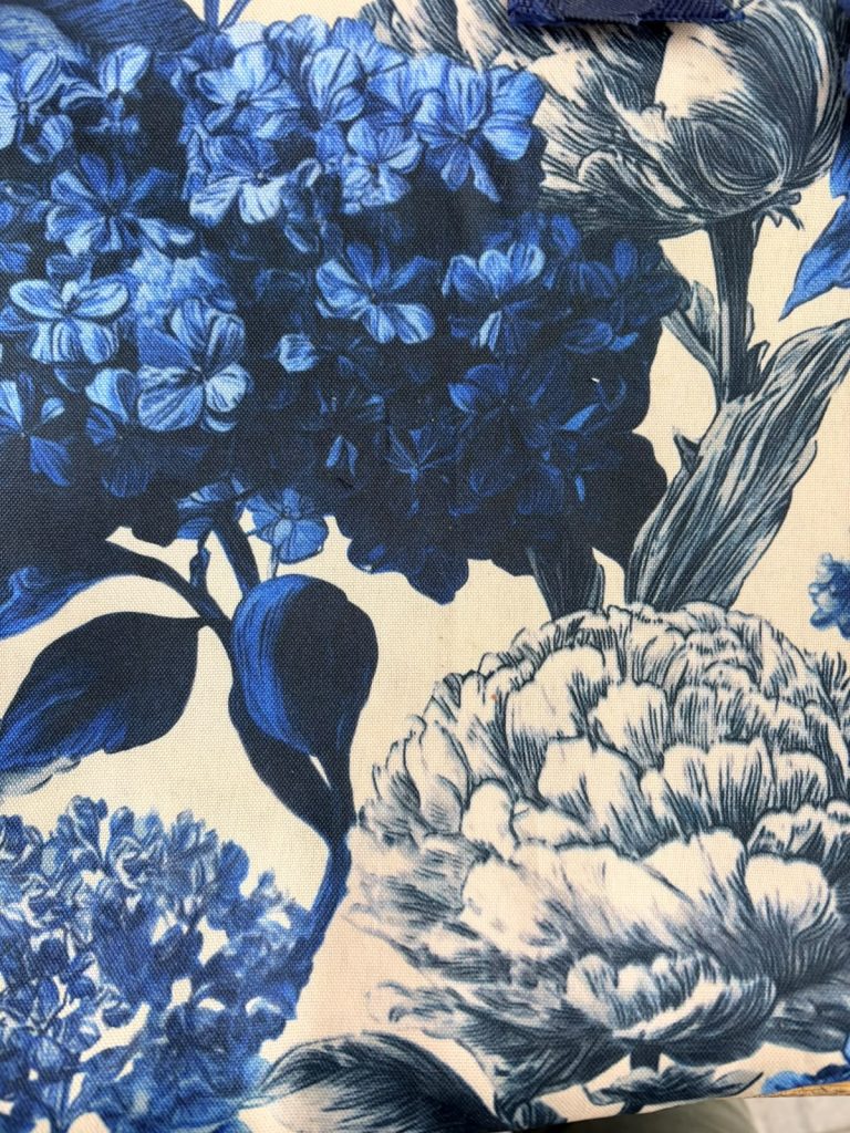 Hydrangea