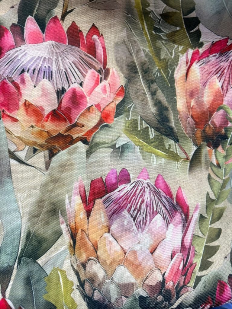 Sage Protea